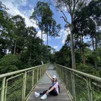 Sepilok Rainforest Discovery Centre 