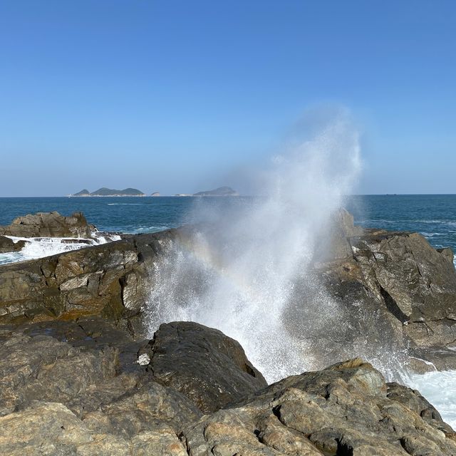 東龍洲