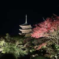 【京都】東寺 紅葉ライトアップ