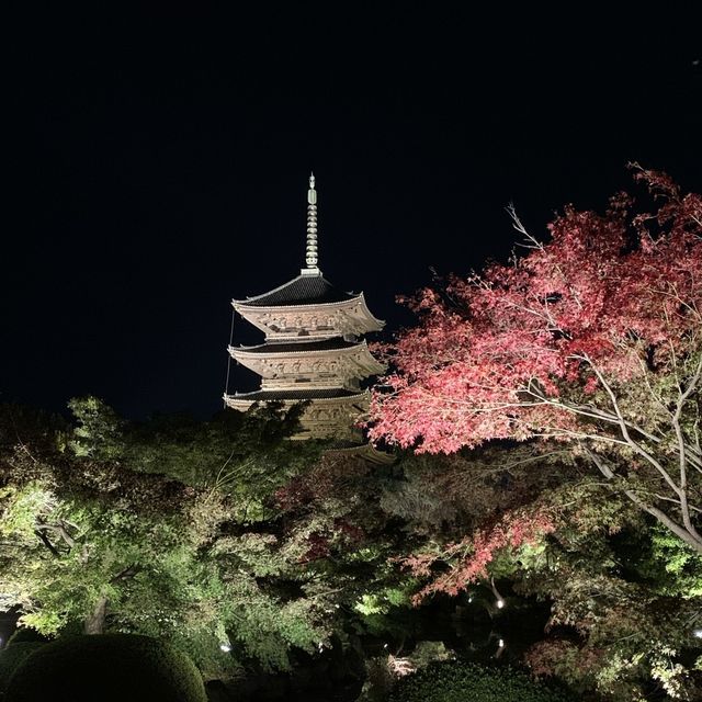 【京都】東寺 紅葉ライトアップ