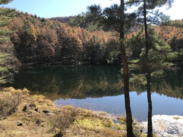 【長野】有名な絵のモデルにもなった紅葉の御射鹿池をご紹介