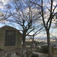🇯🇵 西日本的美麗城堡 – 和歌山城