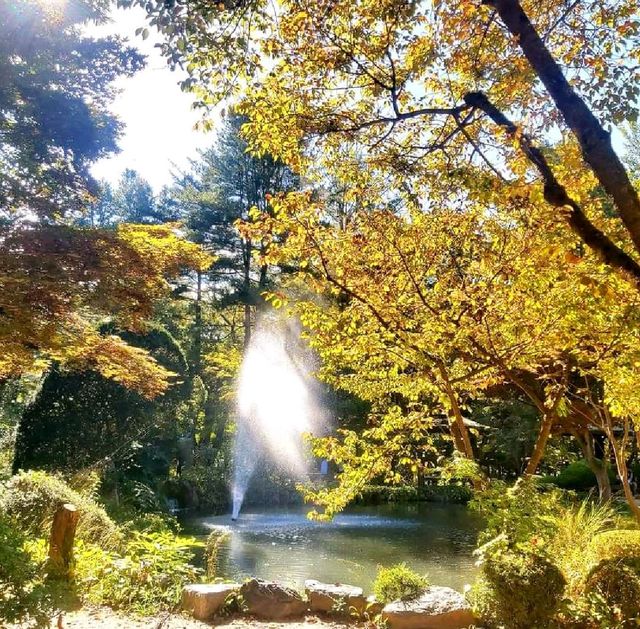 Nami Island