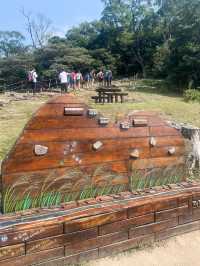行山遊記 大東山芒草打卡之初體驗