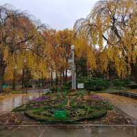 岩手県！盛岡城跡公園で紅葉狩り