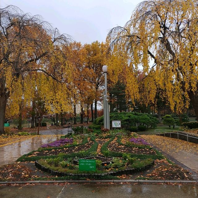 岩手県！盛岡城跡公園で紅葉狩り