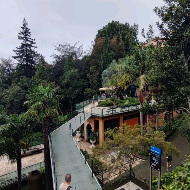 The Funchal View from the top