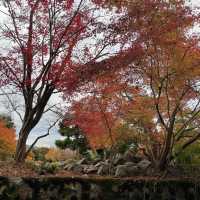 【兵庫県】鳥居と紅葉が美しい秋の有子山稲荷神社へ！