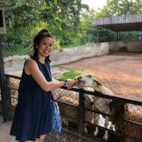 Khao Yai's Bonanza Exotic Zoo