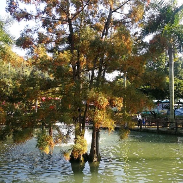 假曰好去處