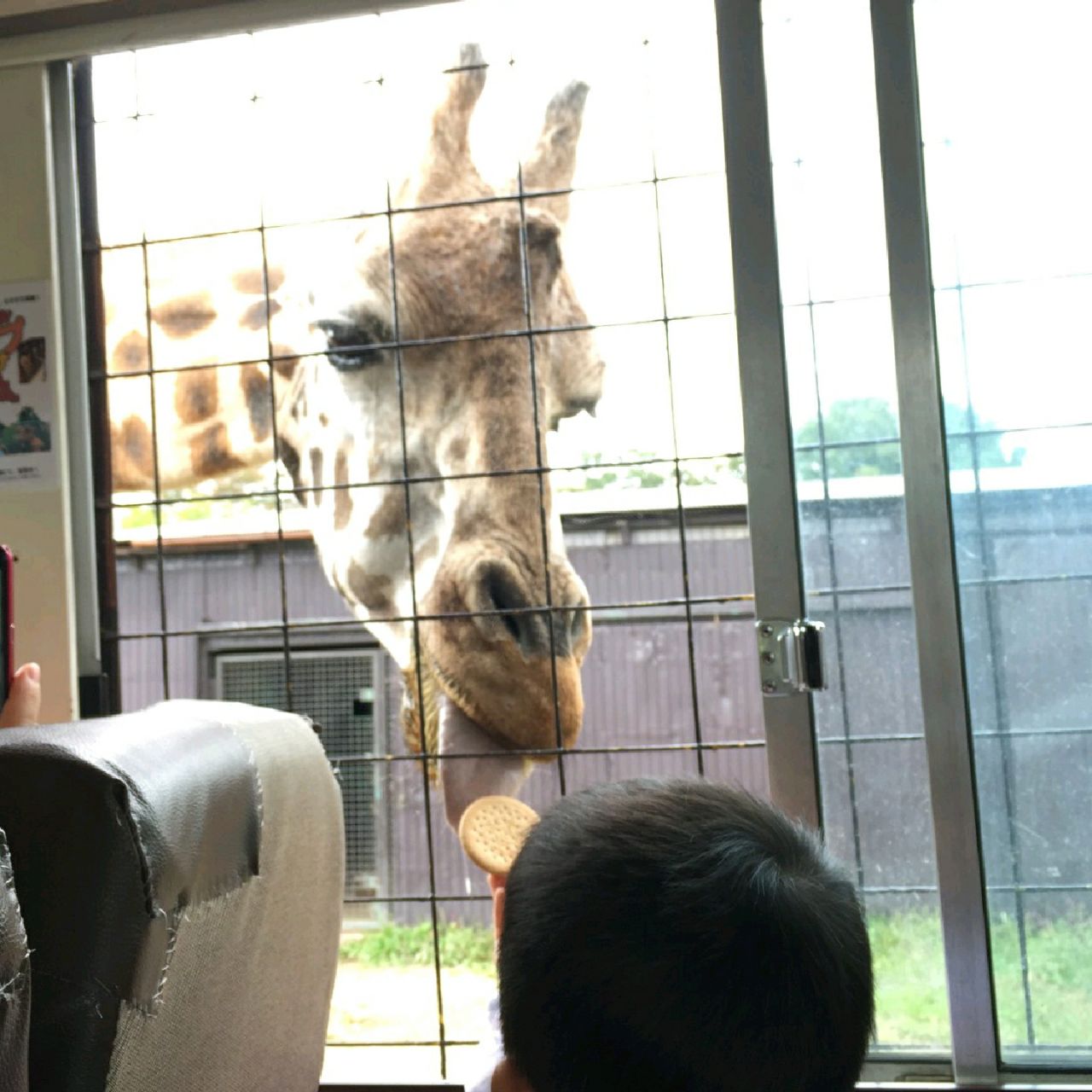 迫力満点 キリンのエサやり Trip Com 那須の旅のブログ 迫力満点 キリンのエサやり Trip Com 那須の旅のブログ