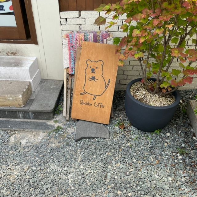 쿼카를 사랑하는 모임 쿼모임에게 추천할 장소_쿼카커피