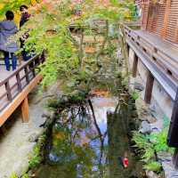 【紅葉巡り】京都ー永観堂