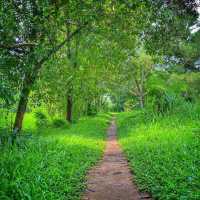 Tampines Eco Green Park