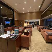 聖誕Hyatt Regency Shatin 住宿