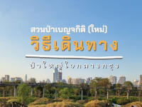 รีวิวการเดินทาง : มาสวนป่าเบญจกิติ(ใหม่)