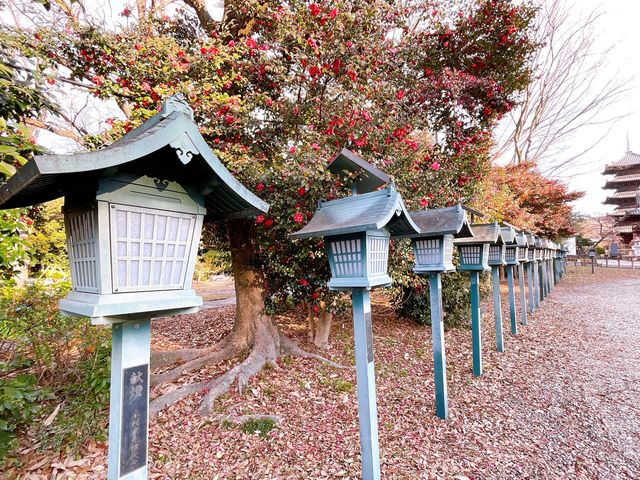 名古屋【八事山 興正寺】