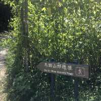 昂坪高原⛰️眺望西貢海景