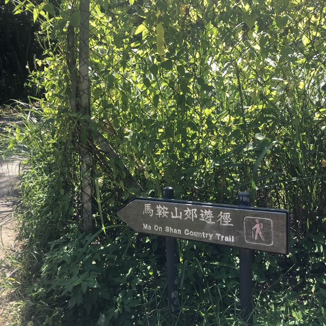 昂坪高原⛰️眺望西貢海景