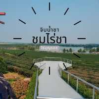 🌱จิบน้ำชา ชมไร่ชา 🌳