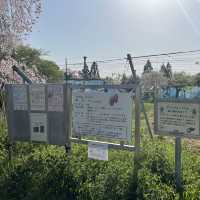 名古屋市守山区　フルーツパークの果樹園