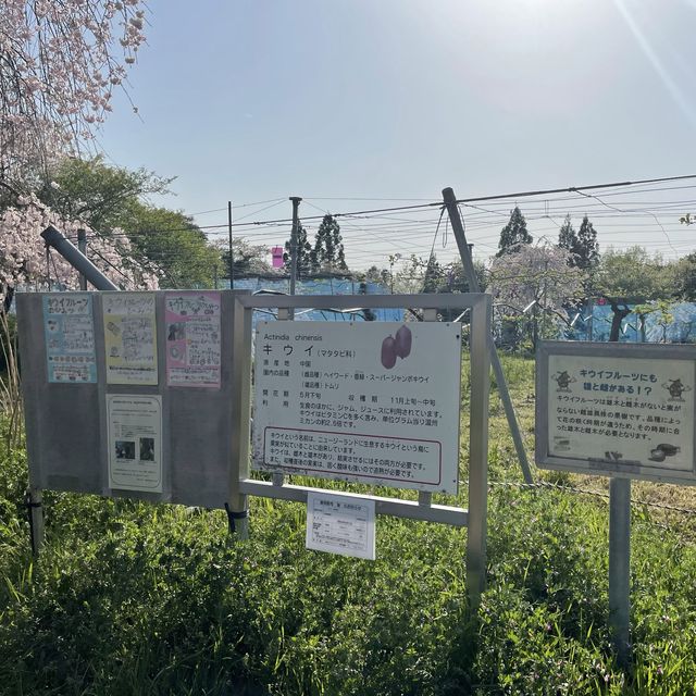 名古屋市守山区　フルーツパークの果樹園