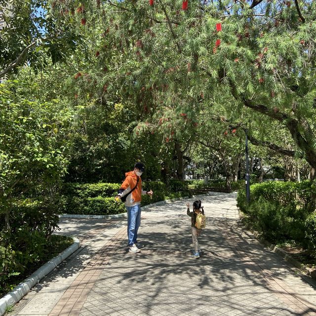 綠草如茵的花園 📍屯門