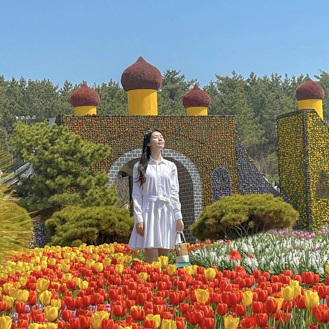 튤립 구경하러 태안튤립축제로 가보세요💓