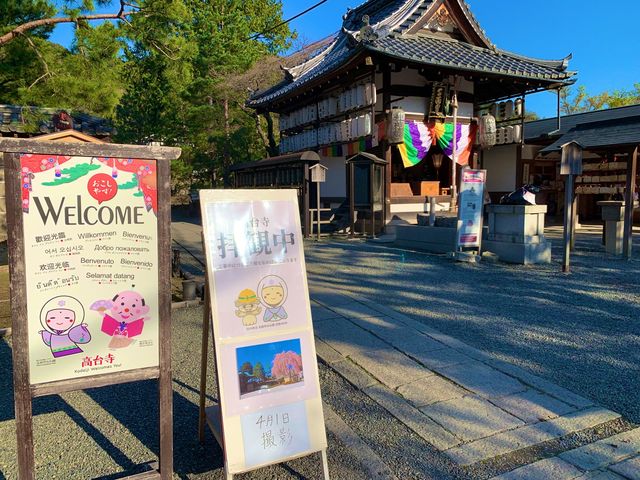 京都　SAKURA 桜めぐり❗️高台寺の桜に感動❗️