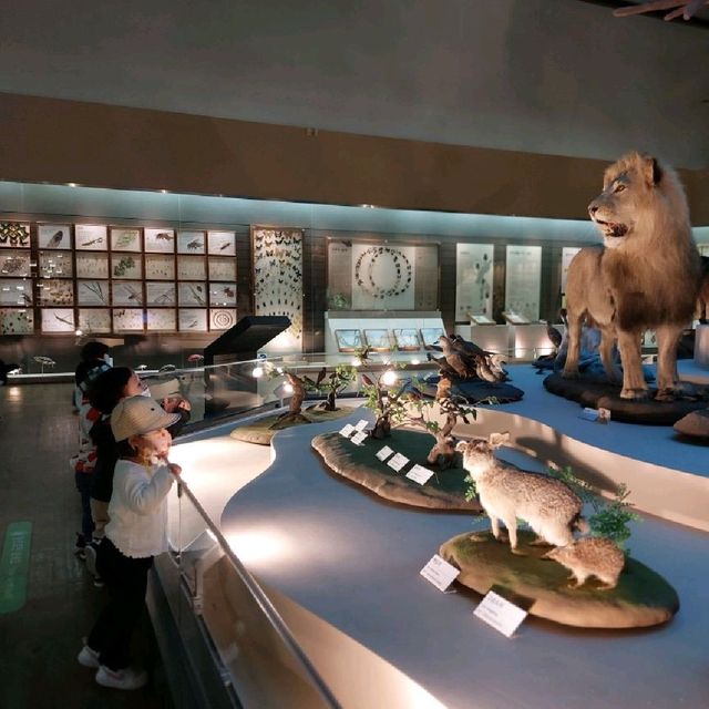 목포 자연사박물관