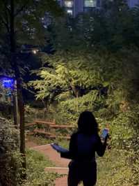 응봉산에서 노을구경 & 야경구경