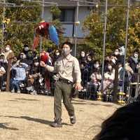 神戸どうぶつ王国迫力あるオウムたち
