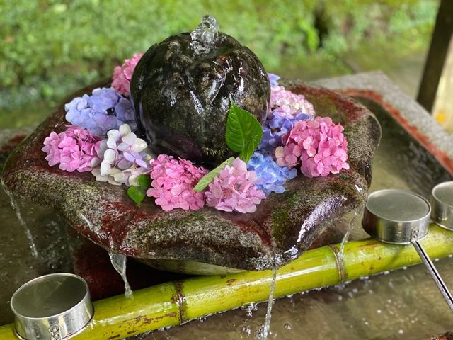 【兵庫県】華観音寺あじさい寺で1万株の紫陽花を愛でる！