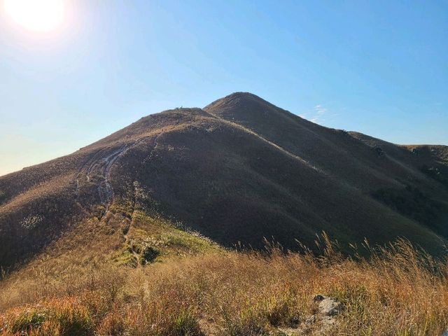 港版阿爾卑斯山🏔️