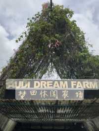 Audi Dream Farm