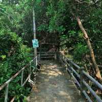 ปั่นจักรยานชมวิวที่บางกระเจ้า