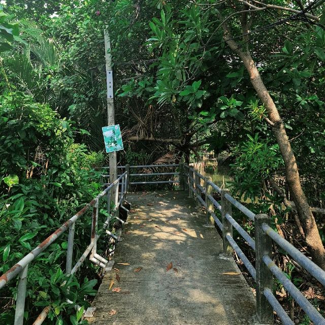 ปั่นจักรยานชมวิวที่บางกระเจ้า