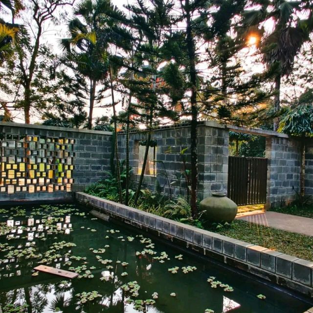 A day with nature❣️