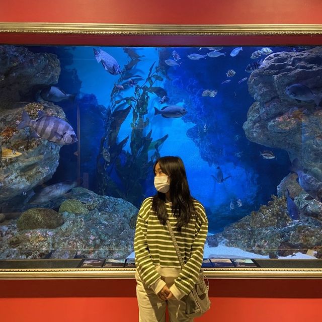 바닷속을 도시로 통채로 옮겨놓다🐳