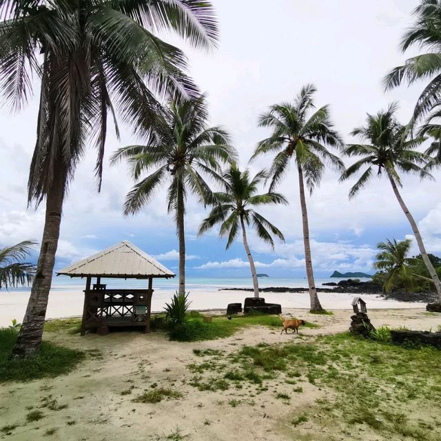 A Beach Within The Forest