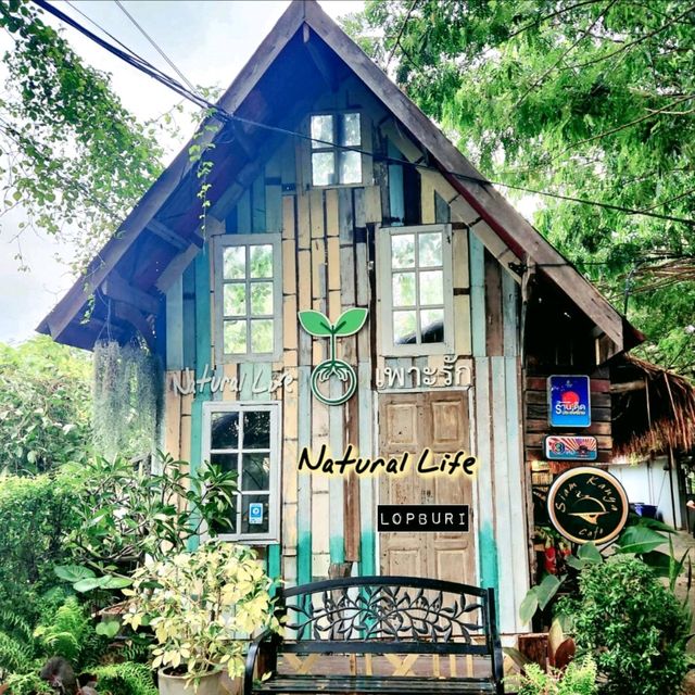 Natural Life เพาะรัก