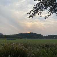 The autumn view of Ilwol park