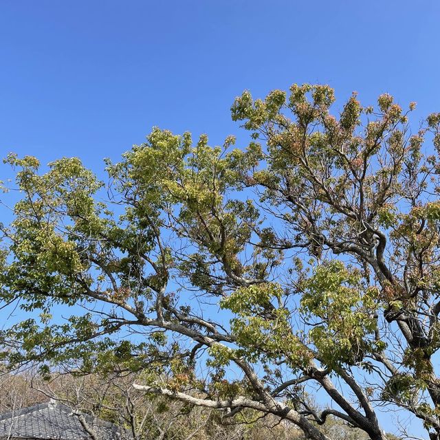 【兵庫県】2022年3月にオープンした絶景カフェ＆ショップ