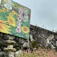 【佐賀】秋のひまわり園 紅葉してました