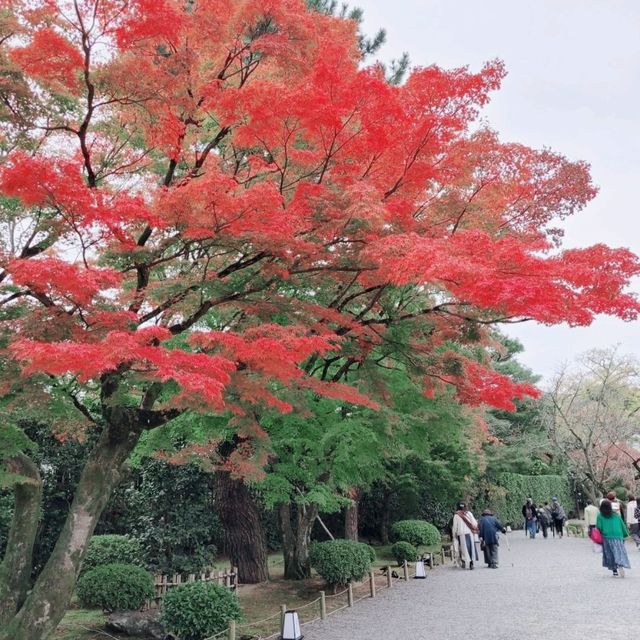 秋の平等院鳳凰堂　宇治