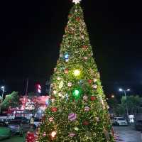 โรบินสัน ฉะเชิงเทรา
