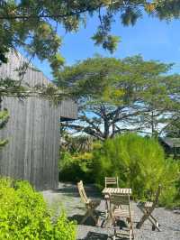 🌳🪹Buono Cafe Pattaya