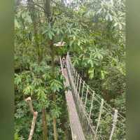 最後機會～新加坡裕廊飛禽公園