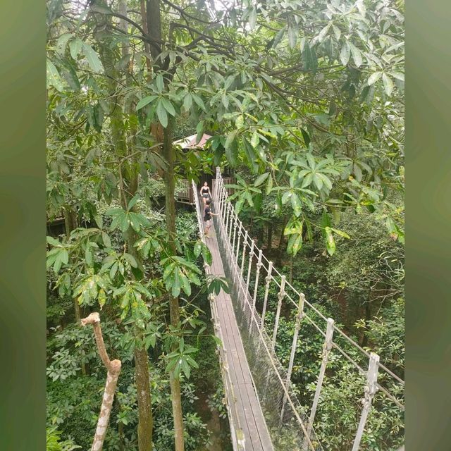 最後機會～新加坡裕廊飛禽公園