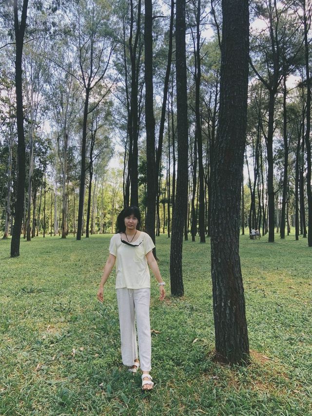 ใครไม่สน เราสน 🌲🌲